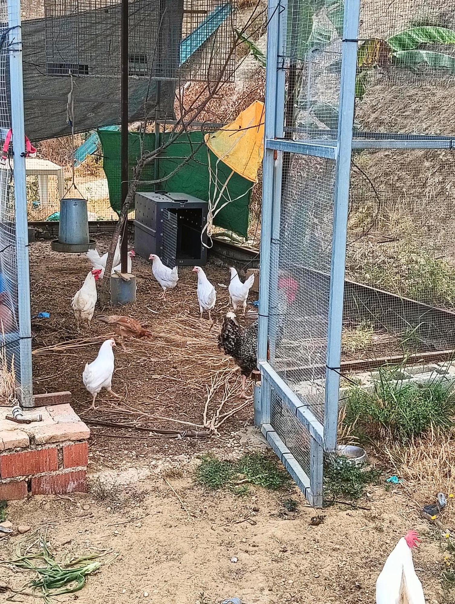 Finca Mis Morenas Palos de la Frontera Eksteriør billede